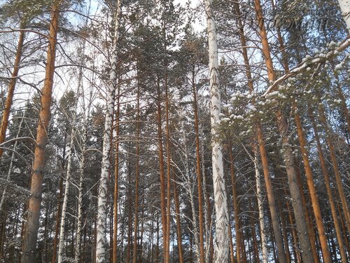 DSCN0103_r